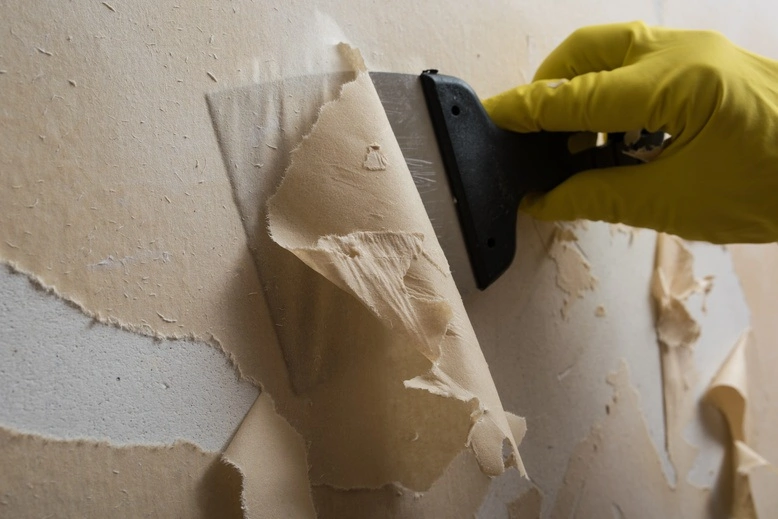 Professional wallpaper installation in Georgetown
